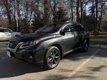 Lexus: Lexus RX: 2009 г., 3.5 л, Автомат, Бензин, Кроссовер — 2
