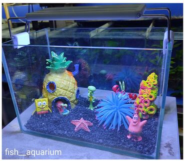 Аквариумы: Новый аквариум. Объём 5 л. Хороший подарок детишкам