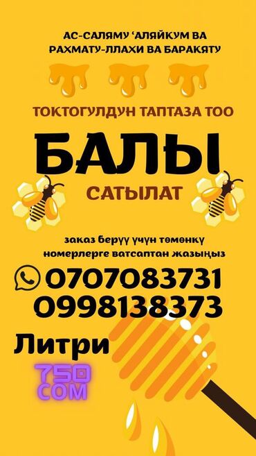купить мясо домашних кур: Токтогулский горный мед