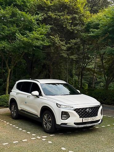 Hyundai Santa Fe: 2020 г., Кроссовер