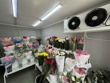 профессиональное кофейное оборудование: Продажа бизнеса Магазин, Цветы, Вместе с: Оборудование и мебель