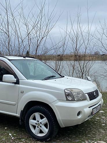 Nissan: Nissan X-Trail: 2003 г., 2 л, Автомат, Бензин, Кроссовер at lalafo.kg — 5 Nissan: Nissan X-Trail: 2003 г., 2 л, Автомат, Бензин, Кроссовер — 5