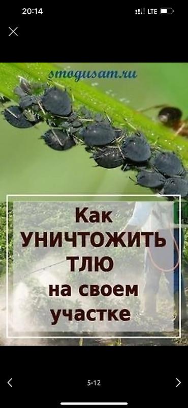 Дворники, садовники: 🌱Я садовник обработка сада ранее весенней обработка плодовых — 5