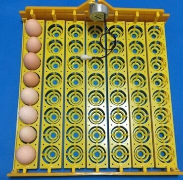 inkibator: 50 yumurta, Fabrik istehsalı