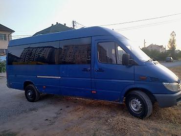 Mercedes-Benz: Mercedes-Benz Спринтер: 2002 г., 2.9 л, Механика, Дизель, Бус — 2