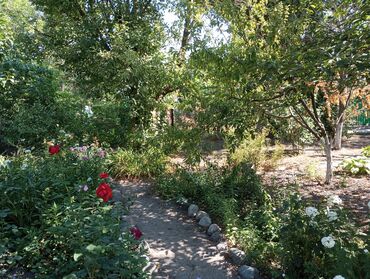 Продажа домов: Дом, 120 м², 7 комнат, Собственник — 4