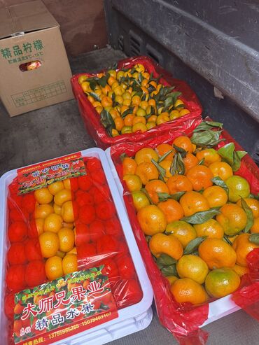 макадамский орех цена: Мандарины В розницу, Платная доставка, Самовывоз