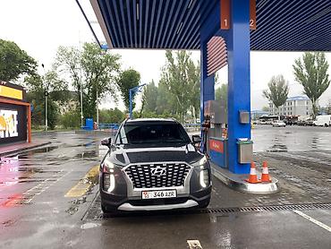 palisade: Hyundai Palisade: 2019 г., 2.2 л, Автомат, Дизель, Кроссовер — 5