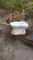 3 d kalemi: Yuyunma ucun pusvar