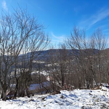 Torpaq sahələrinin satışı: 65 sot, Kənd təsərrüfatı, Mülkiyyətçi, Kupça (Çıxarış), Bələdiyyə — 3