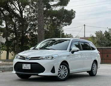 Aksesuarlar və tüninq: Toyota Corolla: 1.5 l | 2019 il Hetçbek