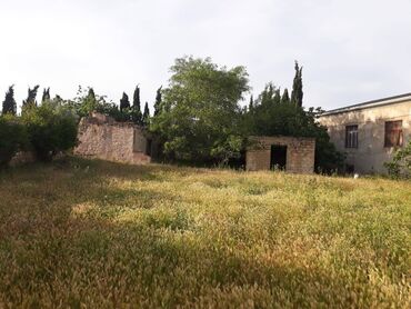 Torpaq sahələrinin satışı: 12 sot, Makler, Kupça (Çıxarış) — 12