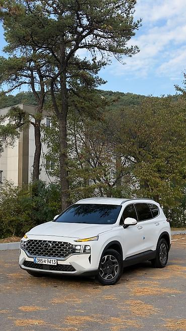 hyun: Hyundai Santa Fe: 2022 г. — 1