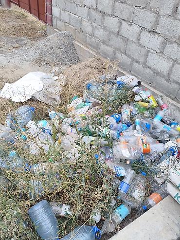 куры: Отдам даром бесплатно забирайте Подборка материалов для — 1