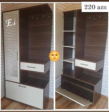 Ev üçün mebel: Dehliz dolabı — 1