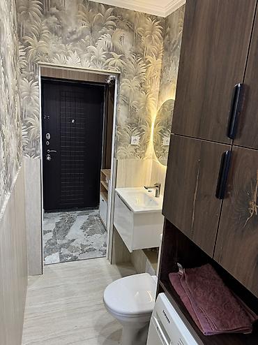 1ком кв пишпек: 1 комната, 31 м², Дворец спорта Элитка, 4 этаж, Свежий ремонт — 9