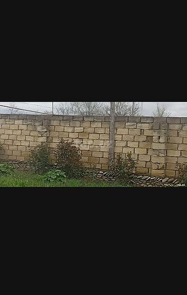 Torpaq sahələrinin satışı: Kənd təsərrüfatı, Makler, Kupça (Çıxarış) — 11