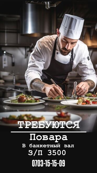я ищу работу официант: Требуется повар банкетный зал с хорошим опытом работы, зарплата от