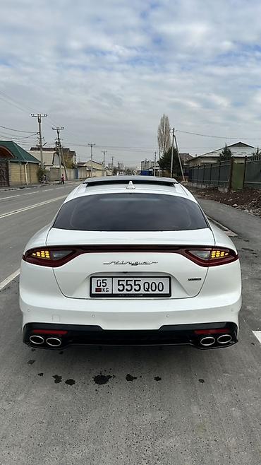 Kia: Kia Stinger: 2018 г., Бензин at lalafo.kg — 18 Kia: Kia Stinger: 2018 г., Бензин — 18