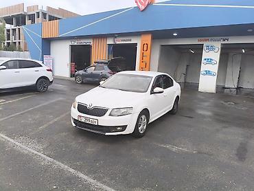 газ 53 донголок: Skoda Octavia: 2016 г., 1.6 л, Автомат, Седан — 2