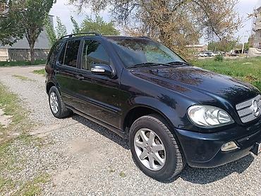Mercedes-Benz ML-Class: 2003 г., 3.7 л, Автомат, Бензин, Внедорожник