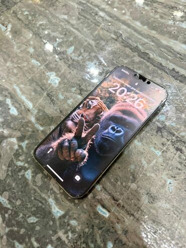 Apple iPhone: IPhone 13 Pro Max, 128 GB, Yaşıl, Face ID — 3