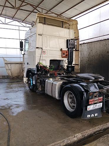 xf: Тягач, DAF, 2002 г., Шторный — 5