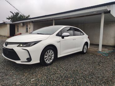 крышка топливного бака: Toyota Corolla: 2019 г., Автомат, Гибрид, Седан