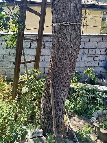 дрова мешок: Продаю на дрова — 5