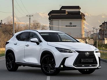 спойлер нехсия: Lexus NX: 2023 г., 2.5 л, Автомат, Кроссовер — 1