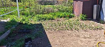 Продажа дач: Продается Дача 5 соток с двухэтажным домом 46 квадратов летней — 21