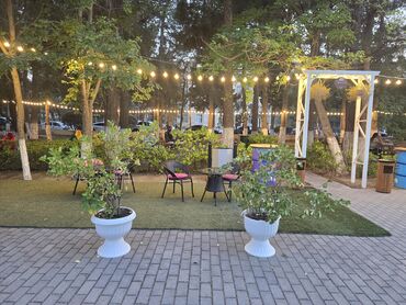 Tikinti ixtisasları: Ofisiant tələb olunur, Fast food, Gündəlik ödəniş, 18-29 yaş, Təcrübəsiz