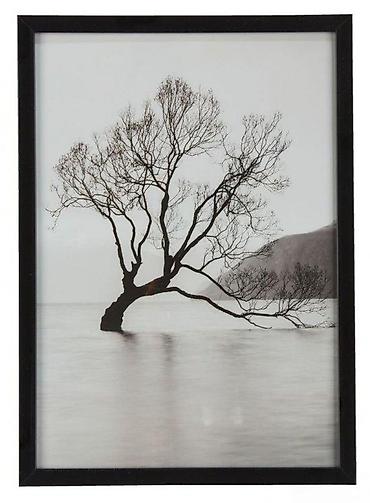 mega maxi cvece: RAM ZA SLIKE 21X30 CM NOV RAM I POKLON SLIKA NOVO AKCIJA | Cene nisu — 1