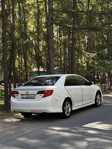 хайландер бампер: Toyota Camry: 2014 г., 2.5 л, Автомат, Бензин, Седан — 4