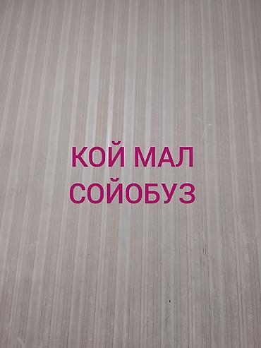 уй чертож: Услуги забоя овец и коз (кой мал – «мелкий рогатый скот»). - — 1