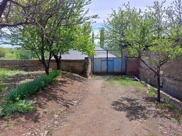 Həyət evləri və villaların satışı: 3 otaqlı, 800 kv. m, Kredit var, Orta təmir -da lalafo.az — 13 Həyət evləri və villaların satışı: 3 otaqlı, 800 kv. m, Kredit var, Orta təmir — 13