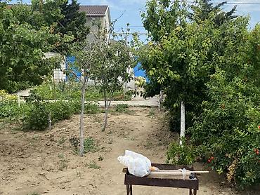 Bağ evlərinin satışı: Digah, 70 kv. m, 3 otaqlı, Hovuzsuz, Qaz, İşıq, Su — 2
