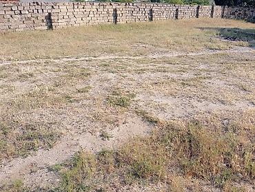 3 sot torpaq satilir: 3 sot, Tikinti, Mülkiyyətçi, Kupça (Çıxarış) — 4