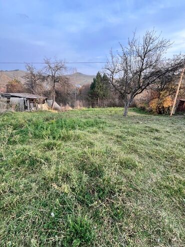 Torpaq sahələrinin satışı: 20 sot, Kupça (Çıxarış) — 10