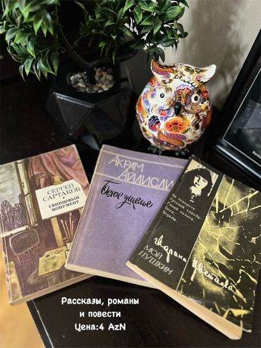 Lüğətlər: 125 shekil. Sola cevirin zehmet olmasa Kitab və dərs vəsaitləri paketi — 59