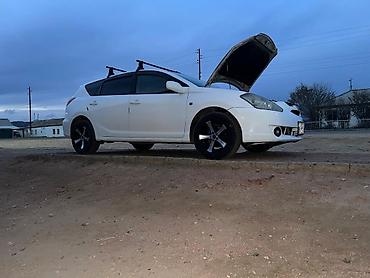 мустанг лошадь цена: Toyota Caldina: 2005 г., 1.8 л, Газ, Универсал — 4