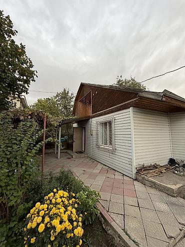 сдаю дом аламидин 1: 4 комнаты, 90 м², 5 соток, Электричество, Холодная вода, Септик — 2