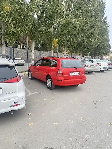 Toyota: Toyota Corolla: 2003 г., 2 л, Механика, Бензин, Универсал — 10