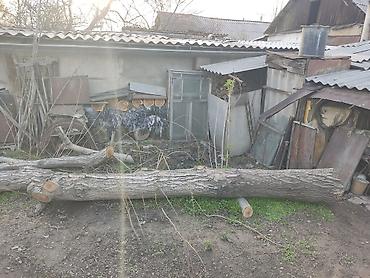 пылеводосос: Продам ствол ореха ( дерево ореха) 0.5 куба — 2