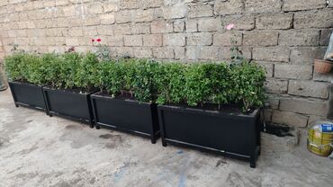 Sifarişlə digər bağ mebeli: Taxta məmulatları və həyət/perqola konstruksiyaları - Mətbəx üçün — 21