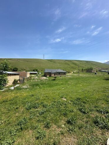 ищу квартиру в кок жаре: 8 соток, Для строительства, Красная книга