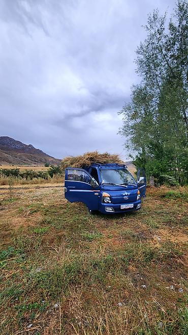 селхоз борт: Hyundai Porter: 2018 г., 2.5 л, Дизель — 2