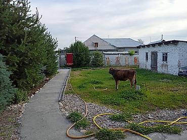 Продажа коттеджей и домов: Продаётся частный дом с благоустроенным двором. Основные — 5
