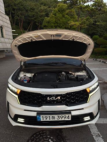 Kia: Kia Sorento: 2020 г., Кроссовер — 17