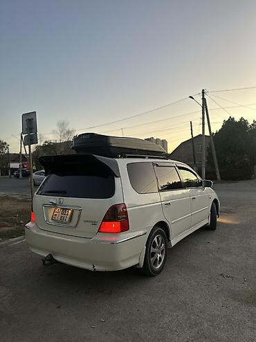 одиссей ra3: Honda Odyssey: 2000 г., 3 л, Автомат, Газ, Минивэн — 2